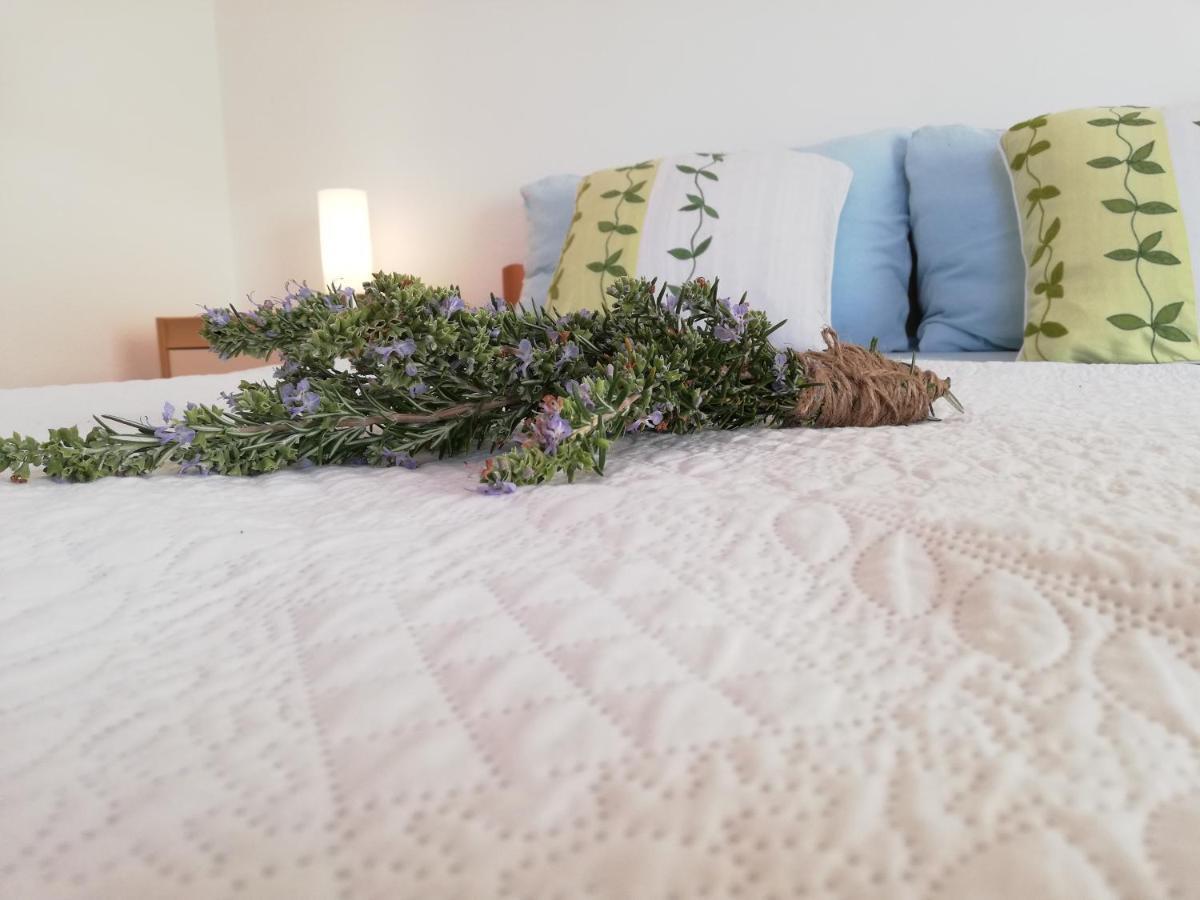 Apartment Anzotika Nin Kültér fotó